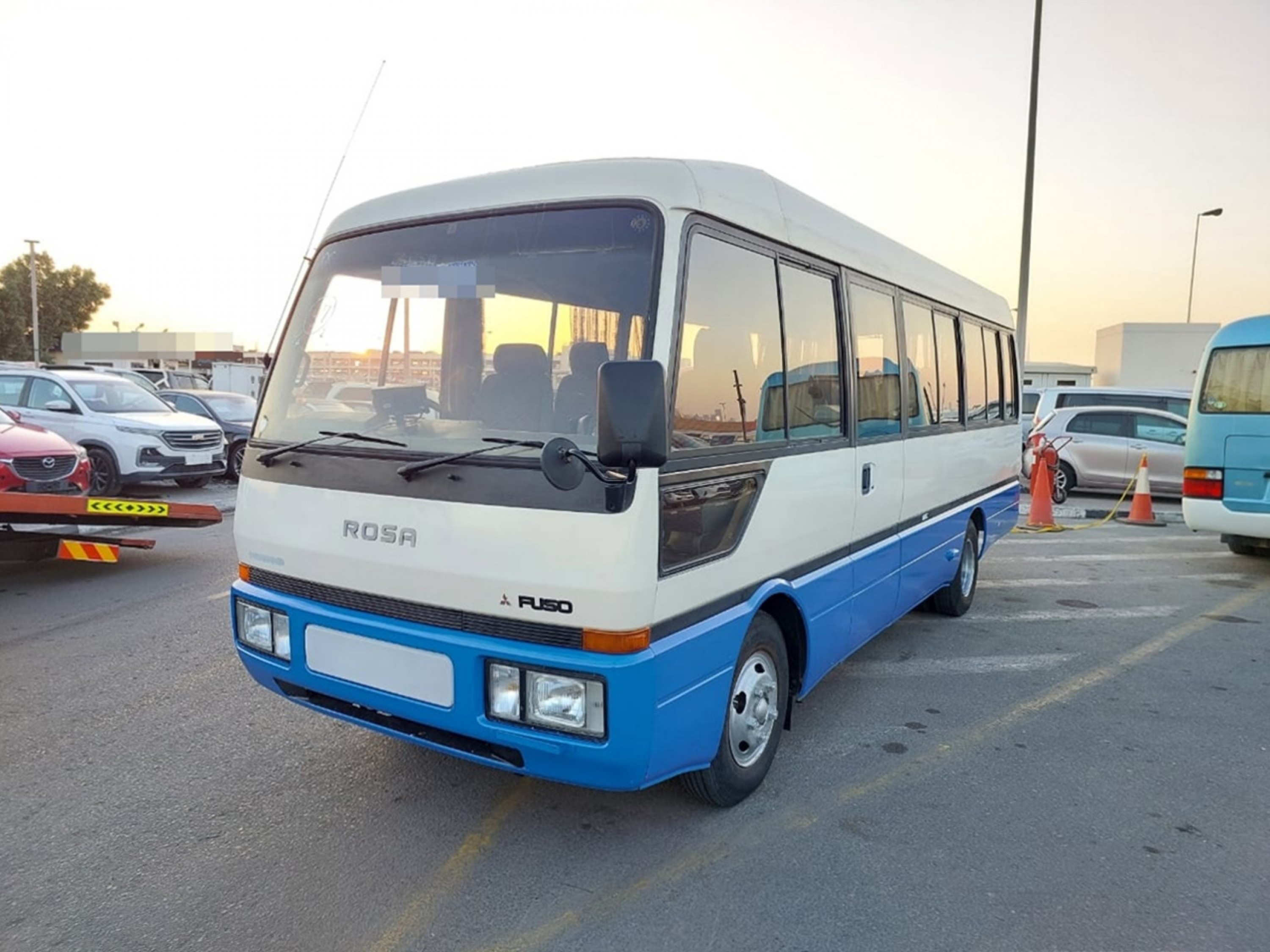 D20607