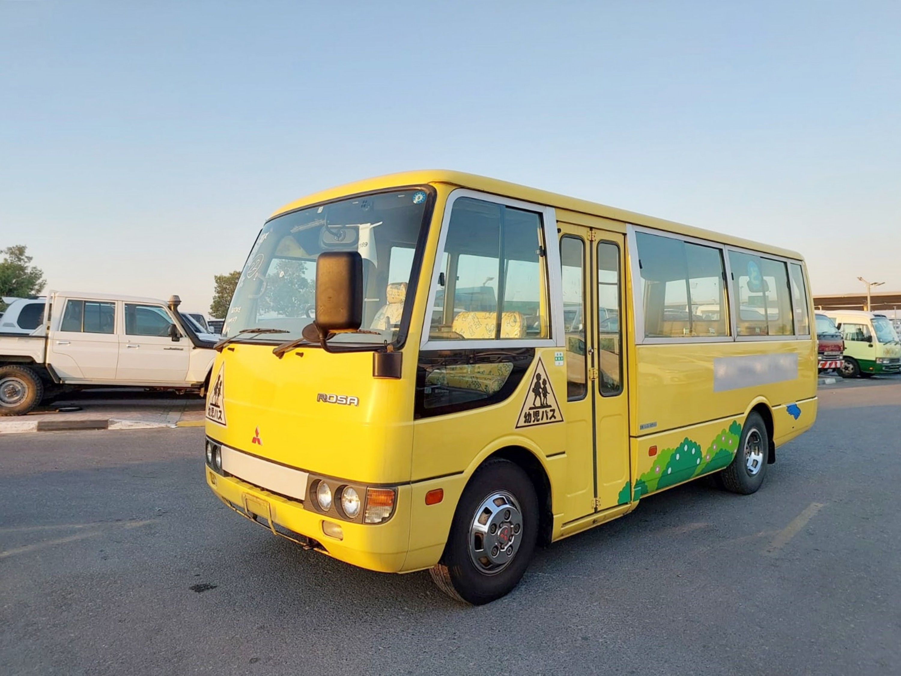 D5209