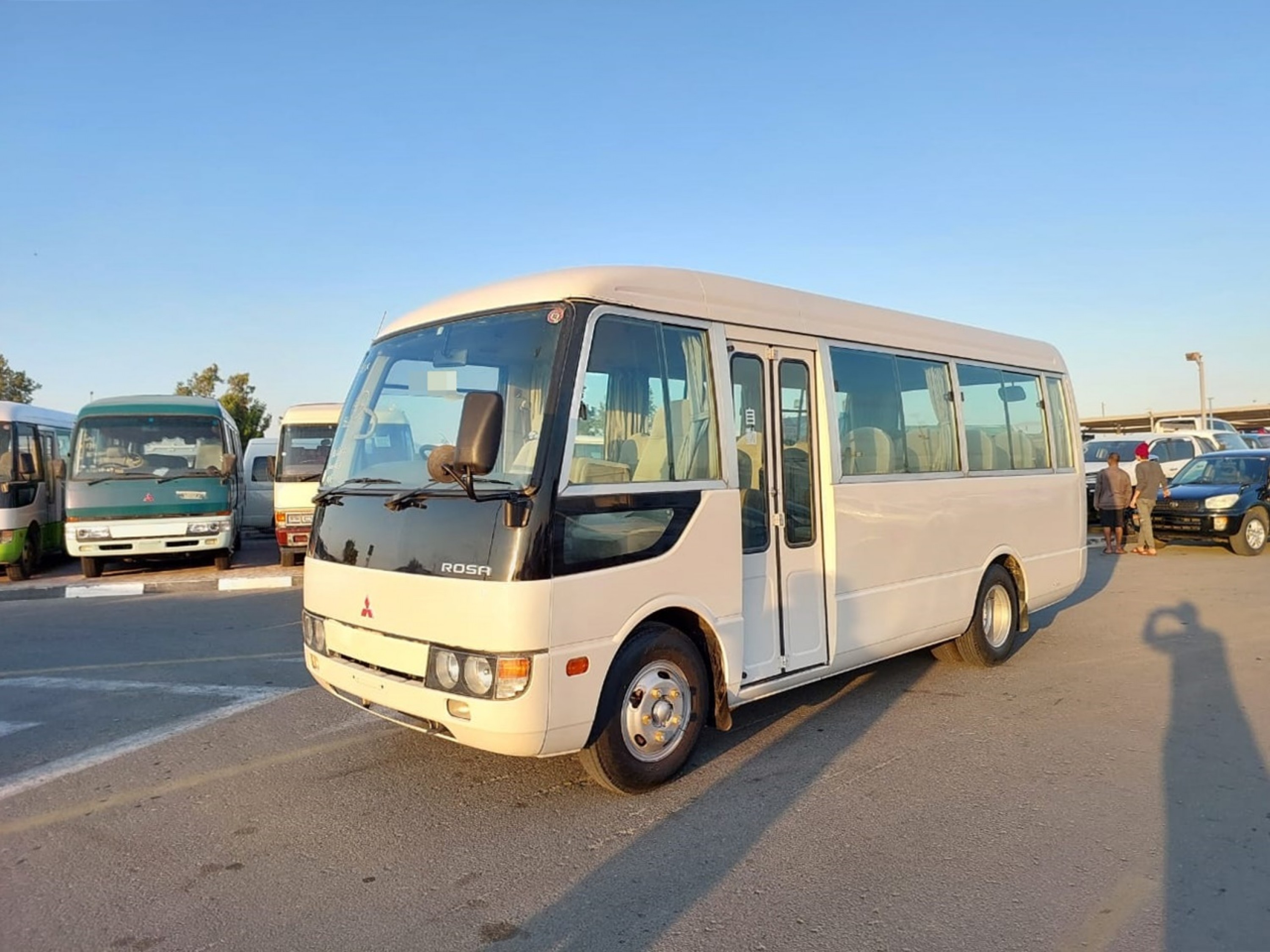 D20329